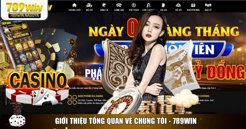 Giới thiệu tổng quan về chúng tôi - 789win